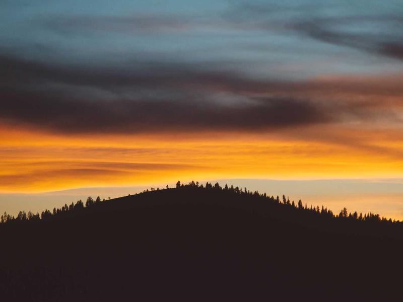 北京胡同<br>qyh4jna.cn 四合院槐树
